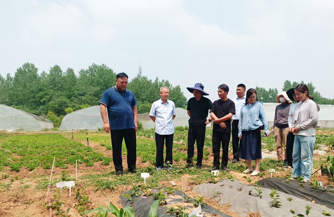 信阳市农科院开展蔬菜农业特色产业基地调研和技术指导