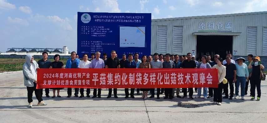 平菇集约化制袋多样化出菇技术观摩培训会在周口市沈丘县召开